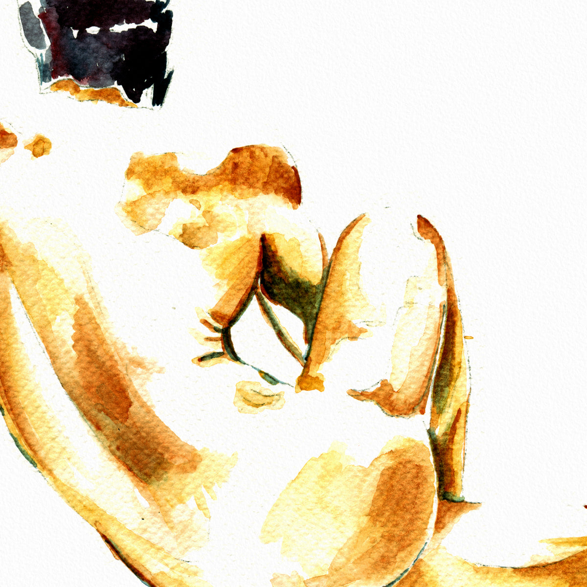 Golden Twist – Art Print Artist Brenden Sanborn