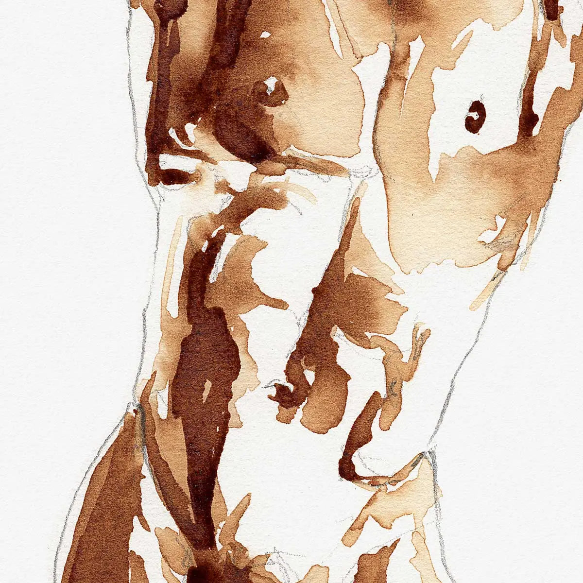 Male Torso Study in Coffee Tones - Art Print Artist Brenden Sanborn