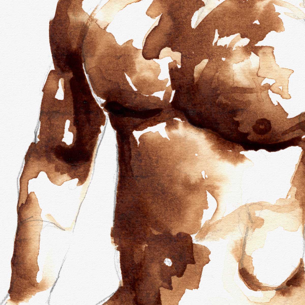 Coffee-Toned Male Torso - Art Print Artist Brenden Sanborn