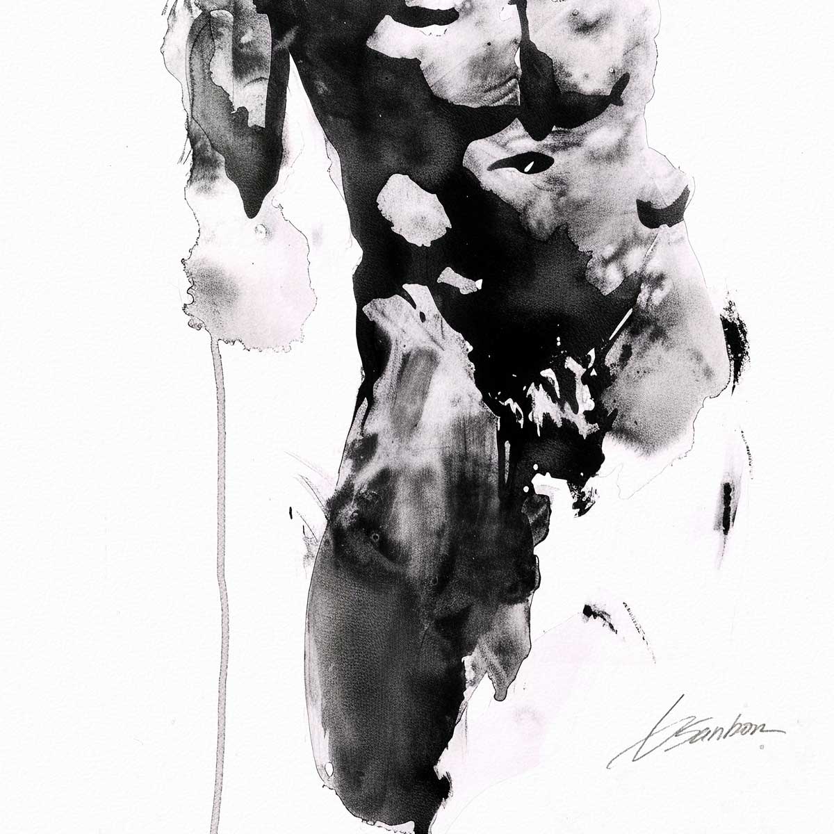 Softened in Shadow – Art Print Artist Brenden Sanborn