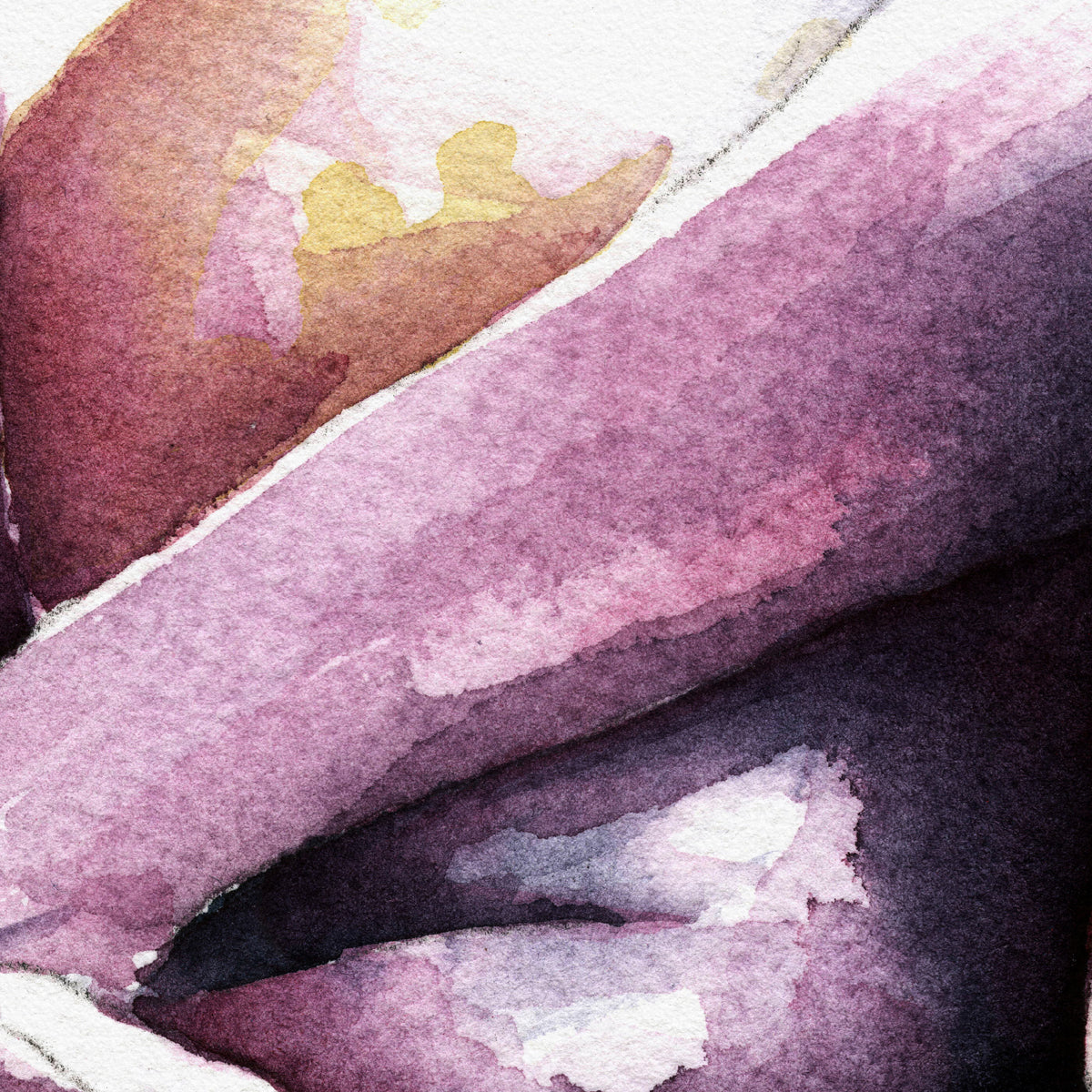 Soft Embrace in the Morning Light – Art Print Artist Brenden Sanborn