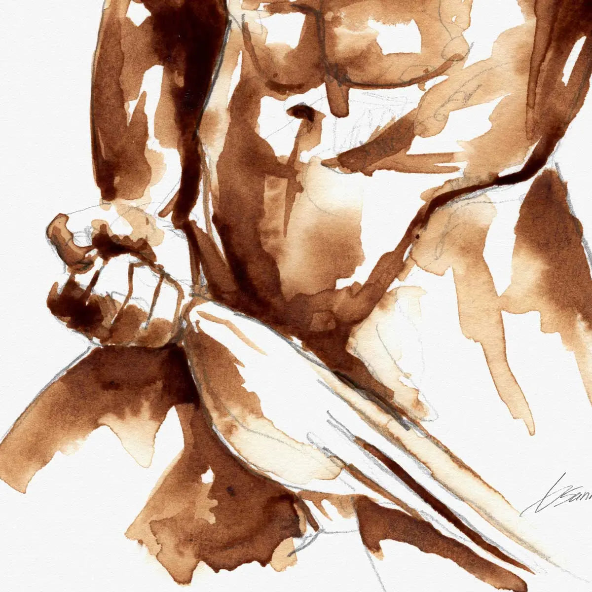 Coffee Nude Pulling Underwear - Art Print Artist Brenden Sanborn