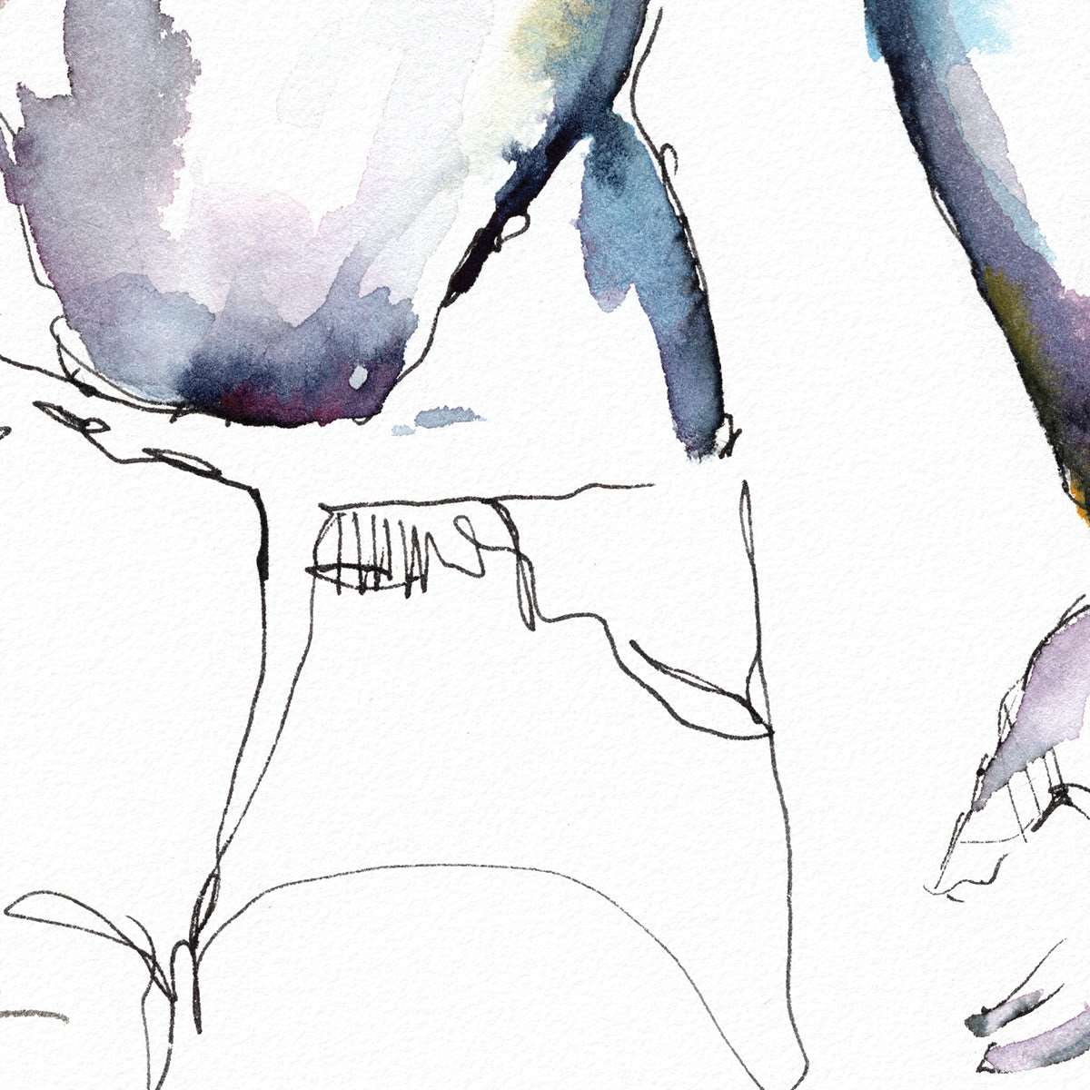 Ebony Strength & Whiskered Elegance: Original Watercolor by Brenden Sanborn Artist Brenden Sanborn