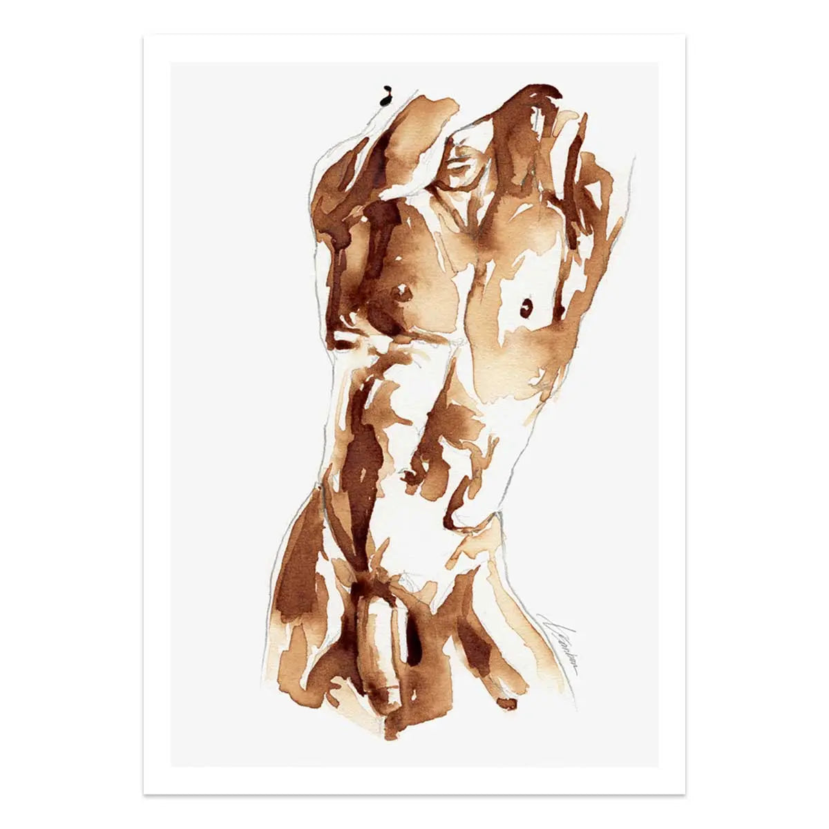 Male Torso Study in Coffee Tones - Art Print Artist Brenden Sanborn