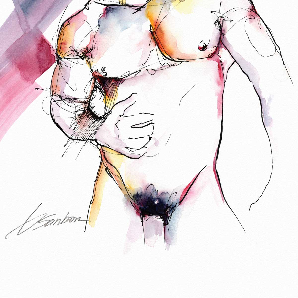 Male Torso Almost Full Nude Rubbing His Abs- Ink and Watercolor - Giclee Art Print